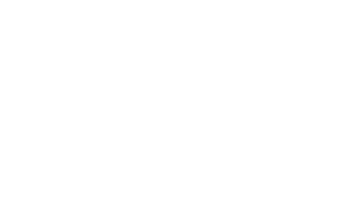 Eco Service International